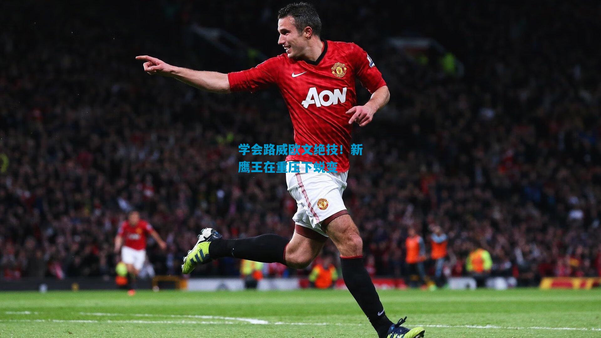 学会路威欧文绝技！新鹰王在重压下蜕变