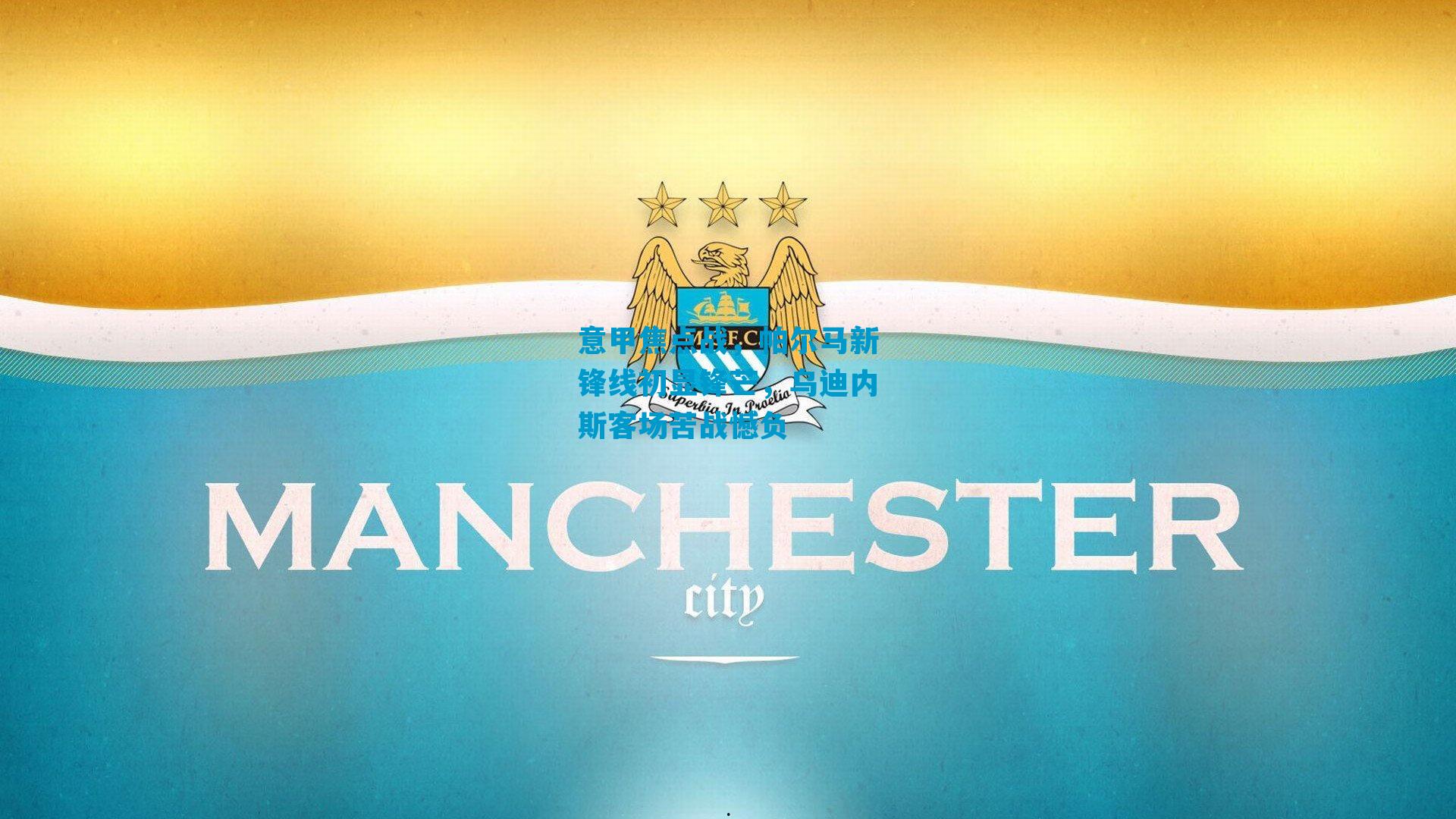 意甲焦点战，帕尔马新锋线初显锋芒，乌迪内斯客场苦战憾负